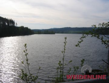 Seen - Badeseen - Liebenstein-Stausee bei Plößberg